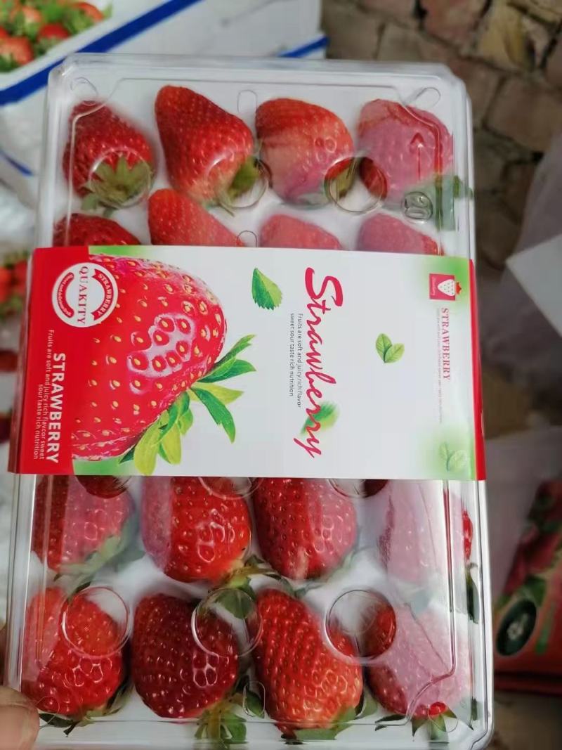 各种草莓批发代办