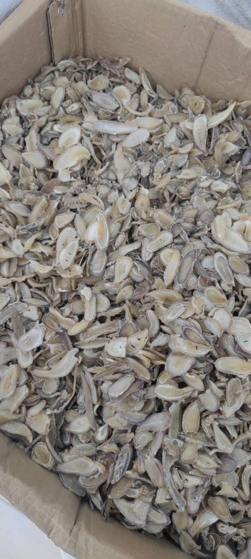 郁金净货各种规格新货大货批发各种中药