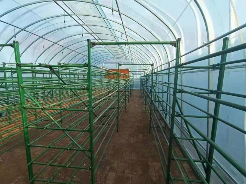 菌架蘑菇种植架包塑管菌架抗腐蚀菌架
