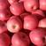【实力货源】红富士苹果规格齐全货源充足常年出货欢迎联系