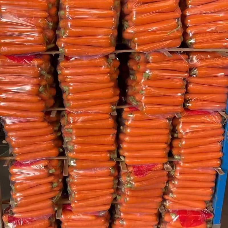 精品水洗三红胡萝卜万亩基地，产地直供价格优惠承接电商