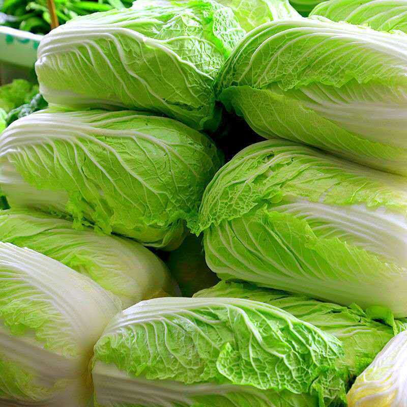 娃娃菜，大娃娃菜，货源充足，质优价廉货源充足稳定交通便利