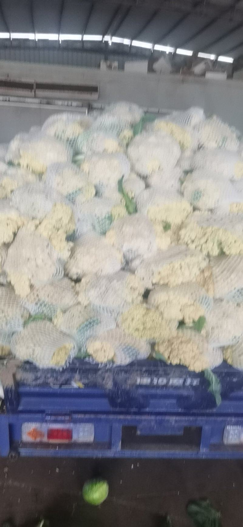 福建花菜大量上市中，适合各大电商平台商超