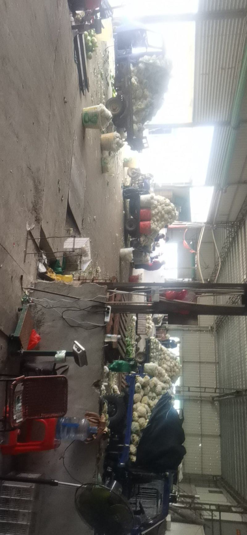 福建花菜大量上市中，适合各大电商平台商超