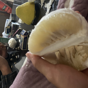 江永精品老树香柚