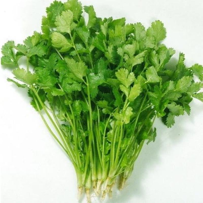 精品香菜！产地直发，可对接电商，超市，全国发货，欢迎来电