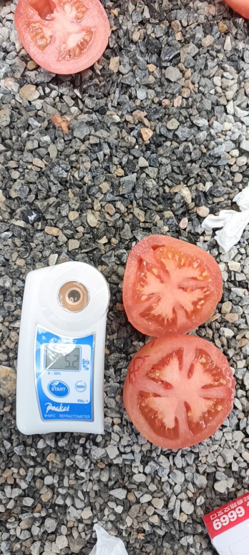 西红柿