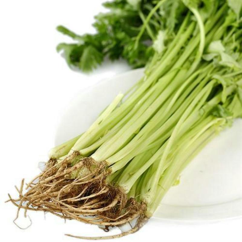精品香芹！产地直发，可对接电商，超市，全国发货，欢迎来电