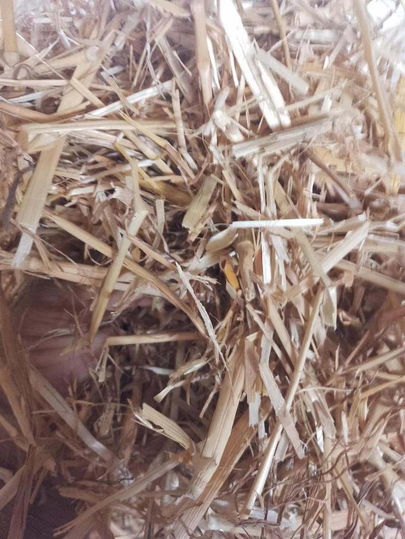 饲料精品小麦秸秆揉丝除尘饲草