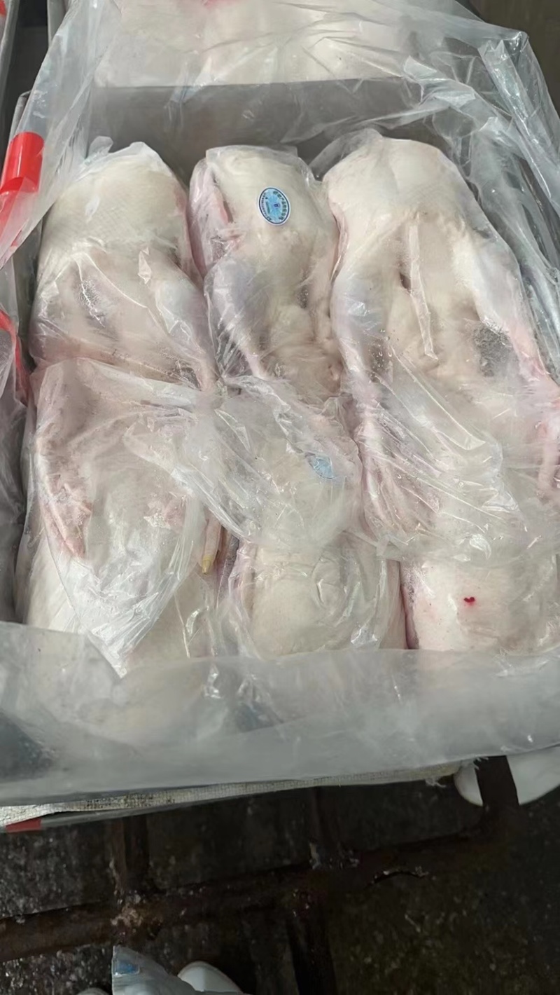 【厂家促销】雁鹅白条，雁鹅，白条鸭，鸭白条，冰鲜鸭白条