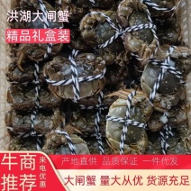 【包邮】洪湖大闸蟹礼盒装公母可自由搭配一件代发量大价优