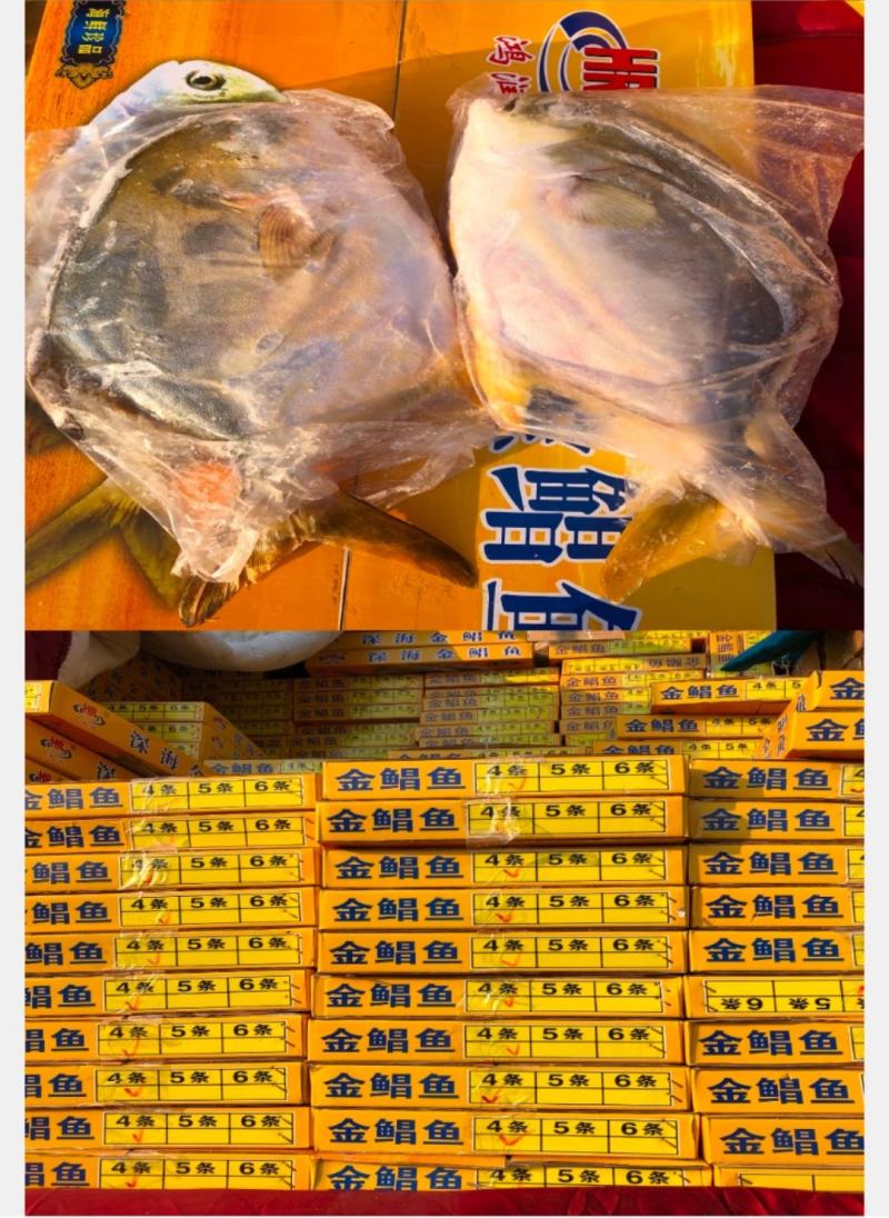 深海的金昌鱼，4条装，5条装，现货批发，薄利多销
