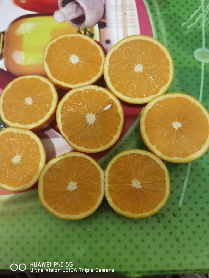 湖南麻阳冰糖橙大量到货，一袋4斤装，口感纯甜汁水充足，