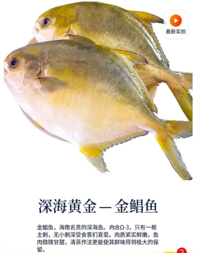 深海金鲳鱼4条装，5条装，都是肉，薄利多销，