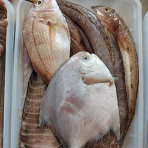 海杂鱼去内脏免洗600克去鳃去内脏价格便宜
