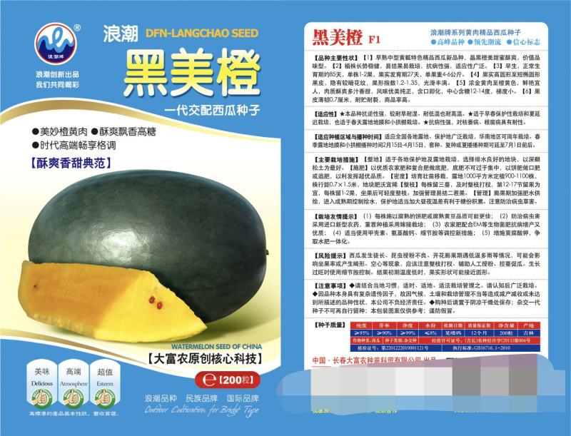 黑美橙西瓜种子易管理口感好不空心含糖量高好吃