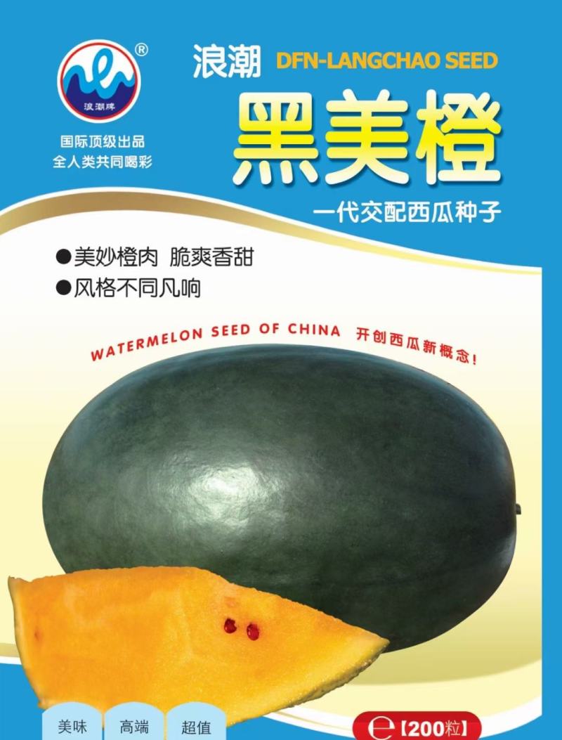 黑美橙西瓜种子易管理口感好不空心含糖量高好吃
