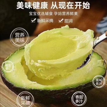 牛油果云南高原水果百搭果**