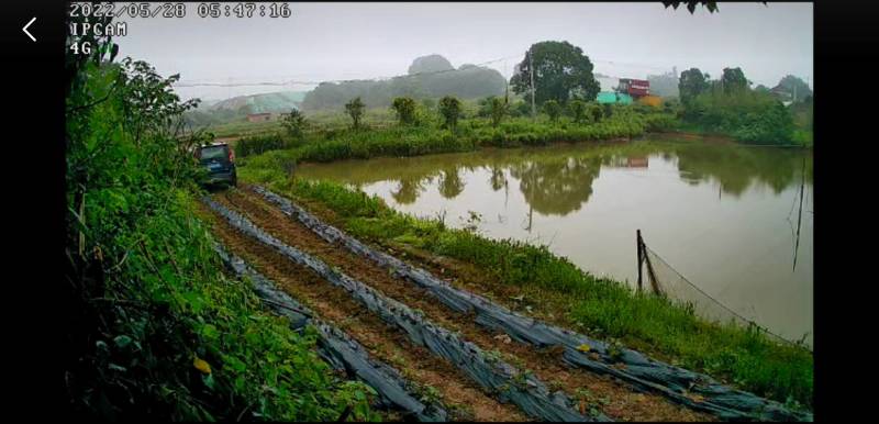 农场土货