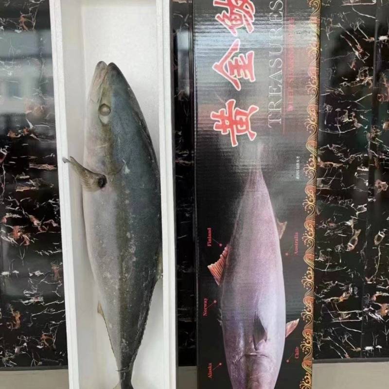 深海黄金大鲅鱼6-22斤都有现货，精美礼盒加泡沫盒发货