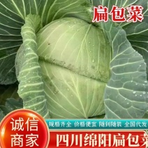 精品云南高原山地优质甘蓝，扁包菜大量上市，货源充足