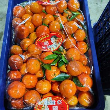 广西东方红世纪红，红橘大量上市中，货源充足稳定，全国发货