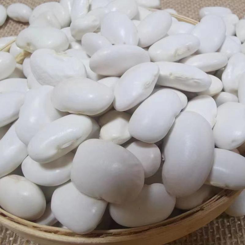 丽江高原白芸豆，大白豆，今年新货