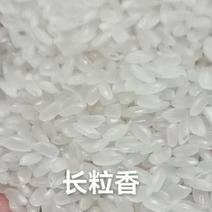 长粒香米粳米国标仅售新米黑龙江产区全程品控溯源