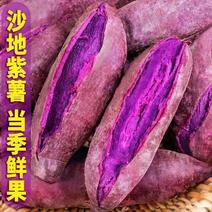 《优选》红薯紫薯大量供应，产地发货，品质保证量大