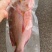 南海鱼种，青衣，彩眉，刺泡鱼各种海南