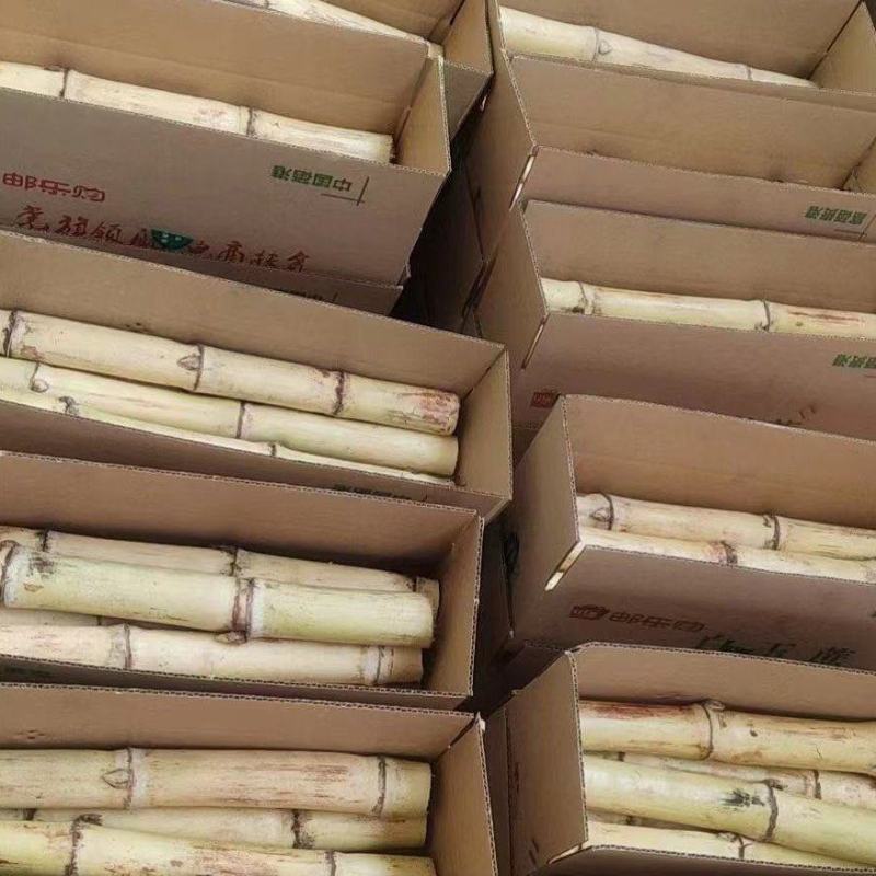 白玉甘蔗木格白玉蔗玻璃脆甘蔗水果甘蔗现砍现发邮寄