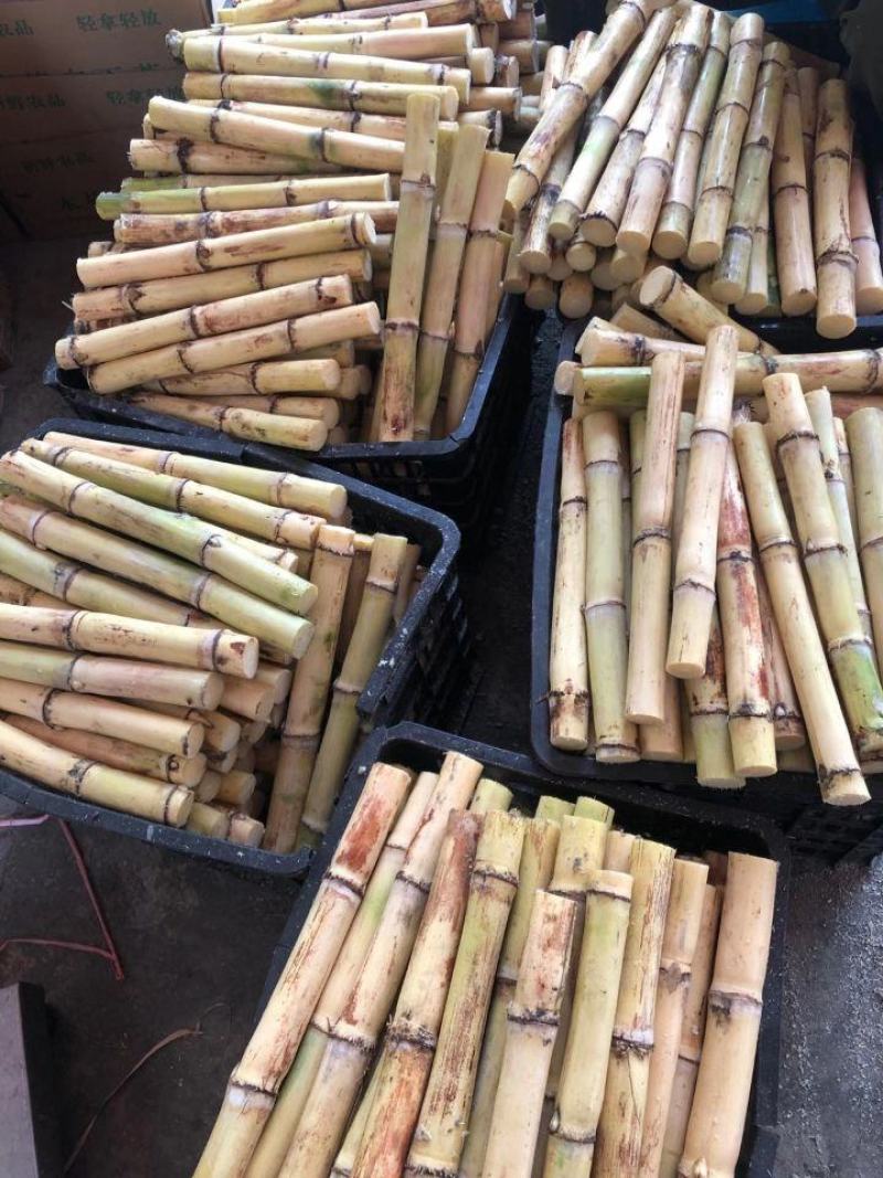 白玉甘蔗木格白玉蔗玻璃脆甘蔗水果甘蔗现砍现发邮寄
