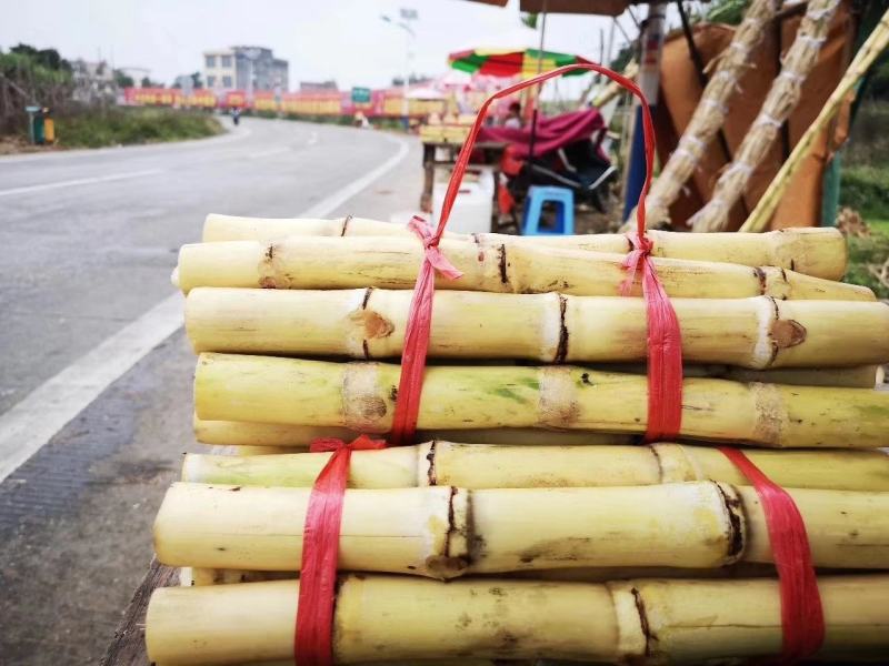 白玉甘蔗木格白玉蔗玻璃脆甘蔗水果甘蔗现砍现发邮寄