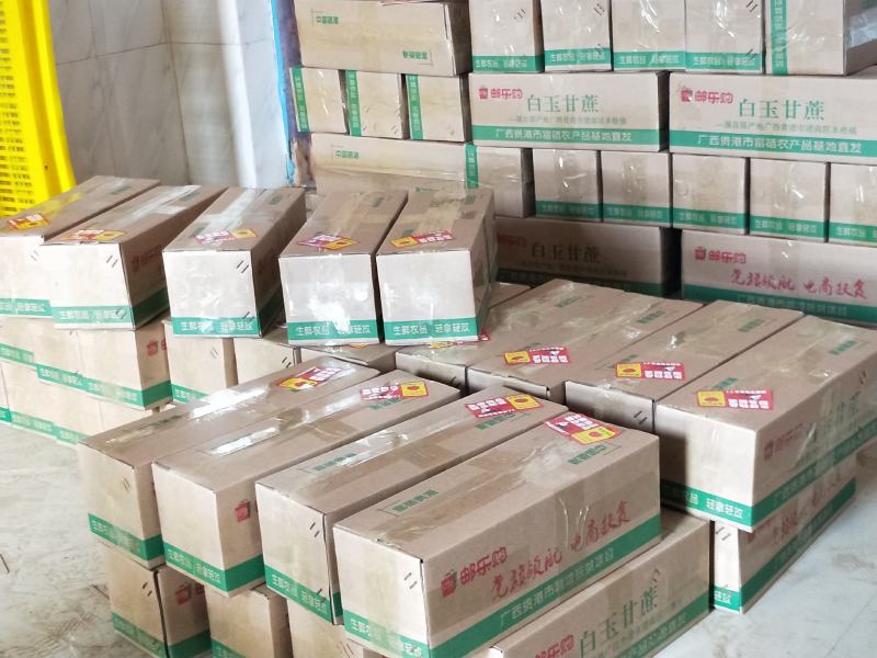 白玉甘蔗木格白玉蔗玻璃脆甘蔗水果甘蔗现砍现发邮寄