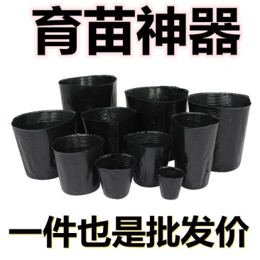 营养钵塑料育苗杯育苗钵一次性花盆育苗袋育苗杯