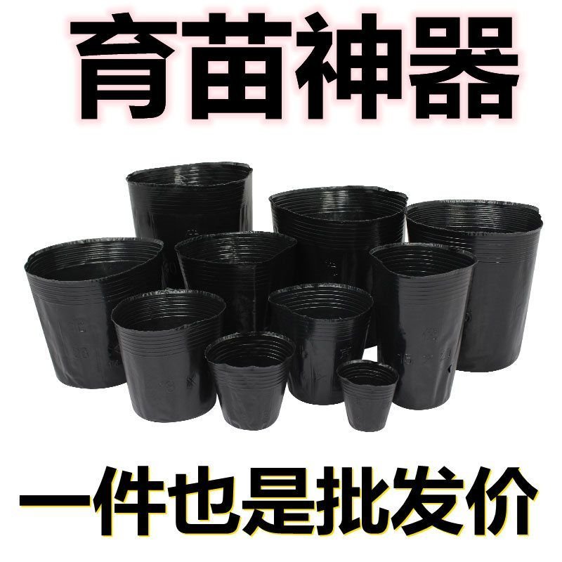 营养钵塑料育苗杯育苗钵一次性花盆育苗袋育苗杯