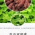正宗纯手工纯红薯粉条火锅粉0添加地瓜粉条5斤特价多省包邮