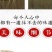 正宗纯手工纯红薯粉条火锅粉0添加地瓜粉条5斤特价多省包邮