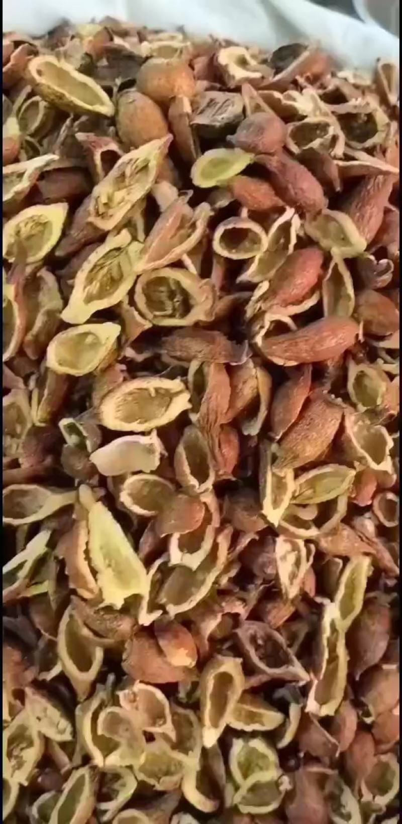 纯野生熟透开口金樱子，(质量保证，大量批发)