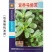 马齿笕种子，野菜马齿菜种子，马齿苋种子基地直销