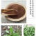 野生荠菜种子春冬季耐热耐寒四季播种农家田园盆栽地载蔬菜种