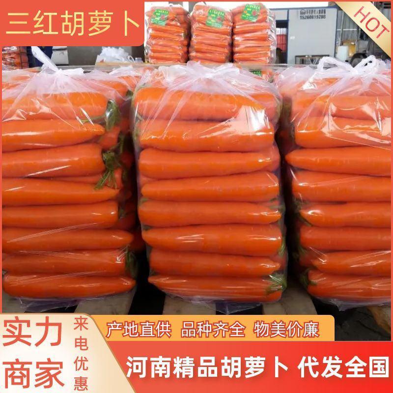 【热卖】胡萝卜水洗带苗土货有专业打包团队按需包装电商市场