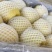 精品贡梨冷库大量有货品质保证