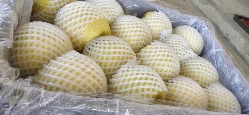 精品贡梨冷库大量有货品质保证