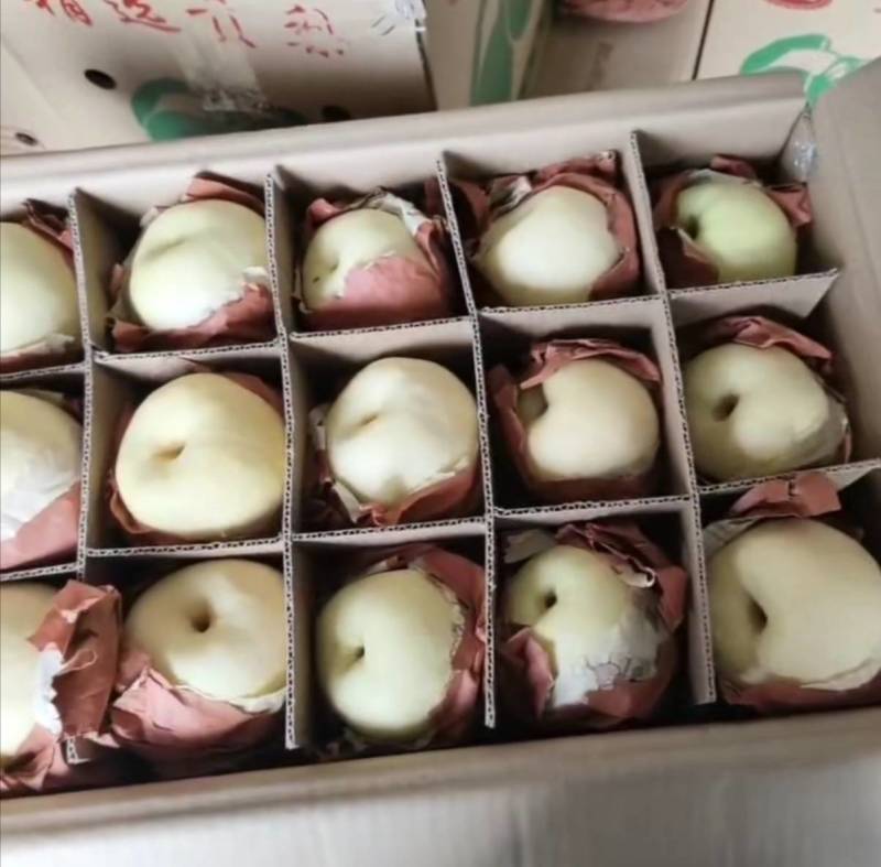 精品贡梨冷库大量有货品质保证