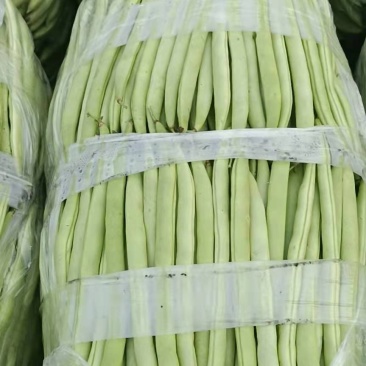 无筋豆，四季豆大量上市
