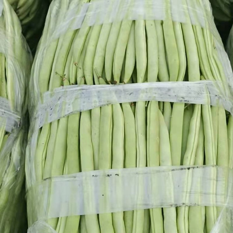 无筋豆，四季豆大量上市