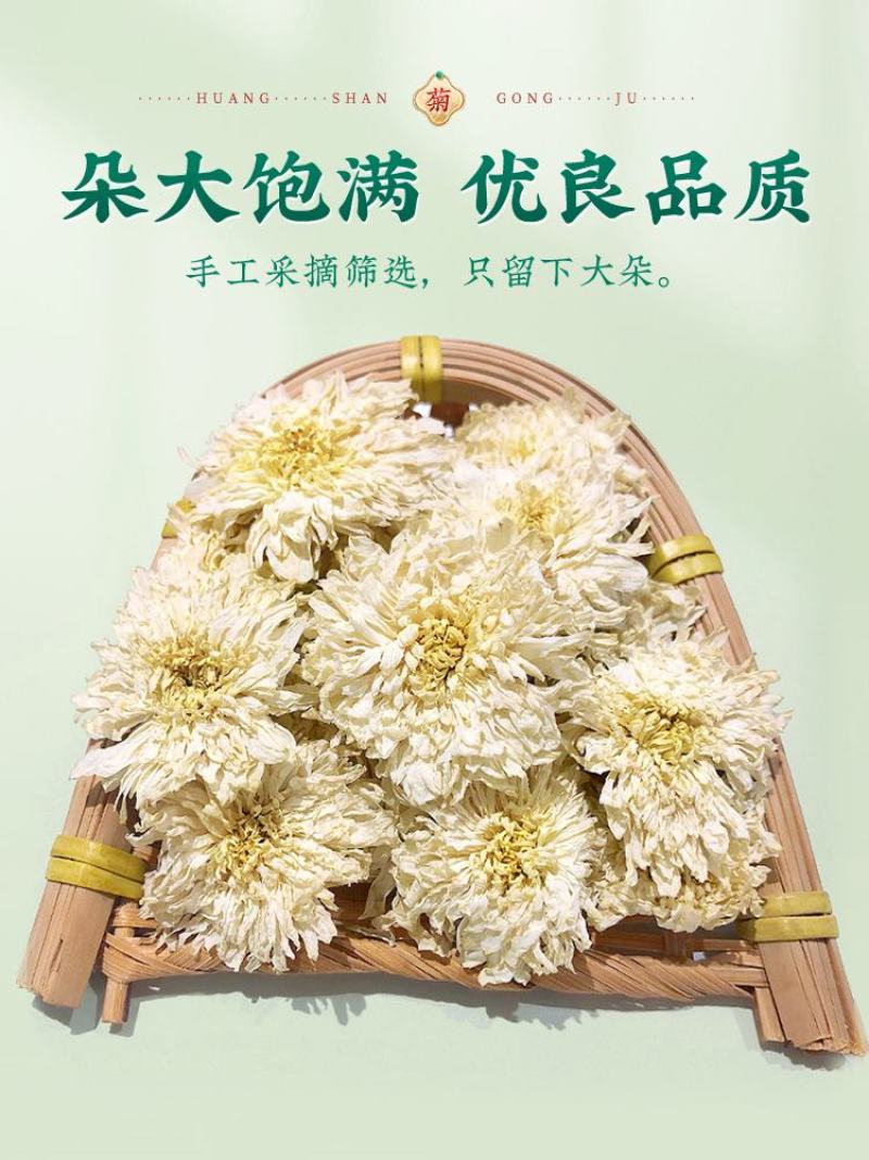 黄山贡菊，正宗无硫新货，源头工厂，可药用，养生，量大价优