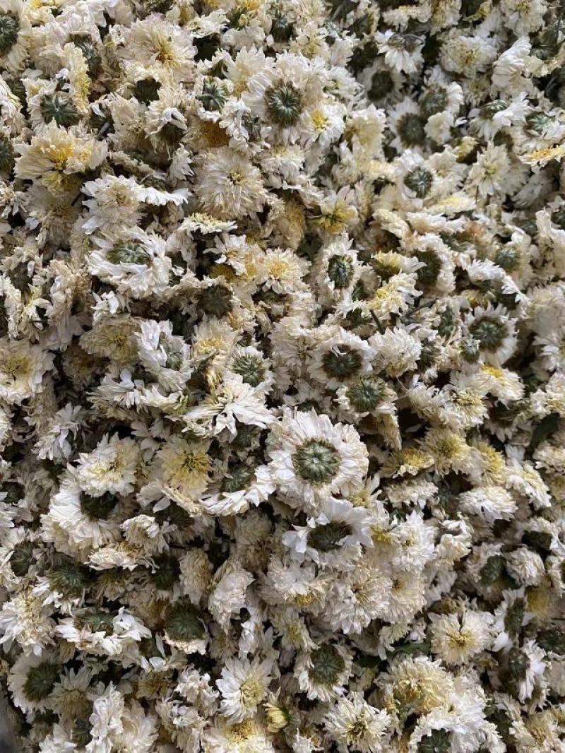 黄山贡菊，正宗无硫新货，源头工厂，可药用，养生，量大价优