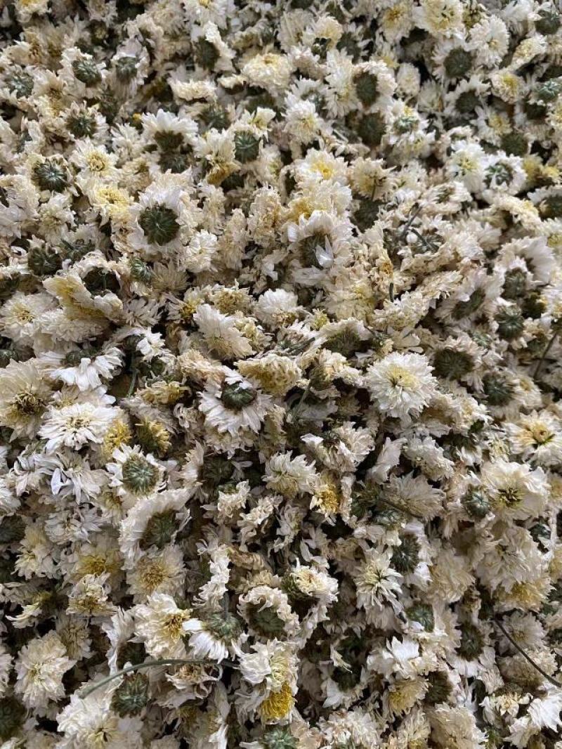 黄山贡菊，正宗无硫新货，源头工厂，可药用，养生，量大价优